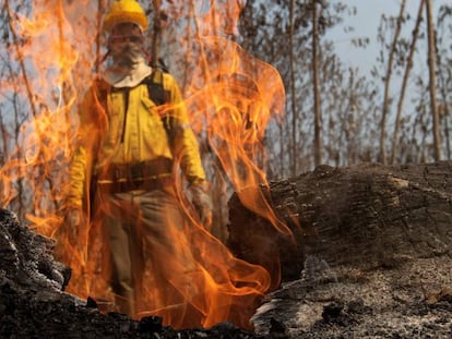 Un bombero se ve tras las llamas durante los combates de los incendios en la selva amazónica cerca de Porto Velho (Brasil).