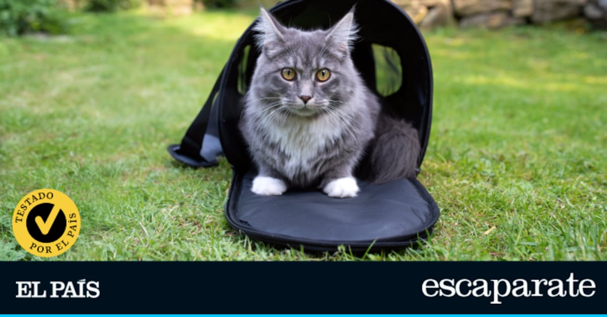 He analizado los mejores transportines para gatos y te cuento cuál es mi favorito