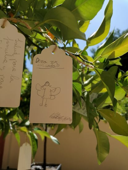 'Deseo ser un hada' es uno de los deseos que cuelgan del proyecto 'Wish Tree'. I.U