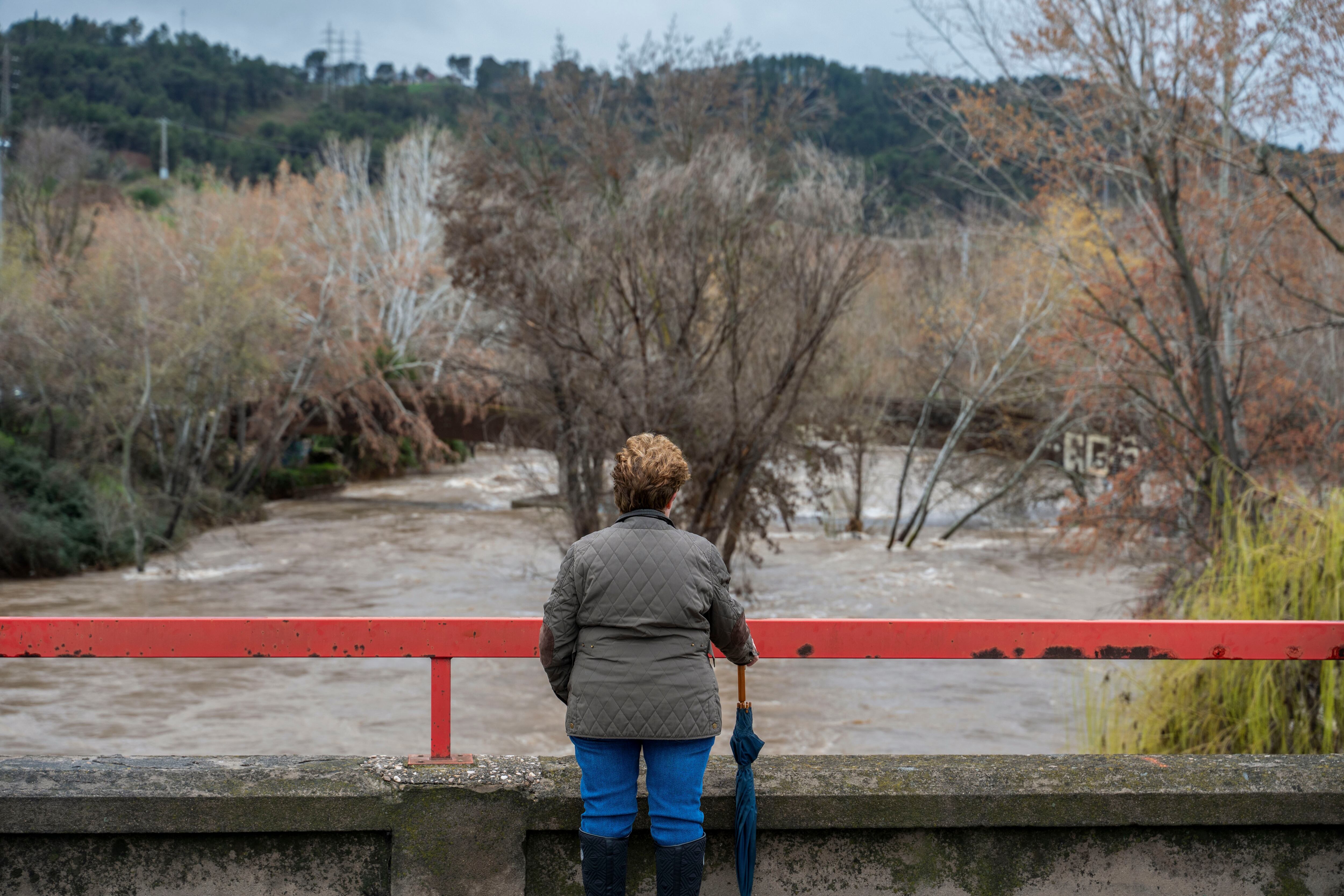 Activada la emergencia en la Comunidad de Madrid ante el riesgo de inundaciones en Jarama, Henares y Alberche