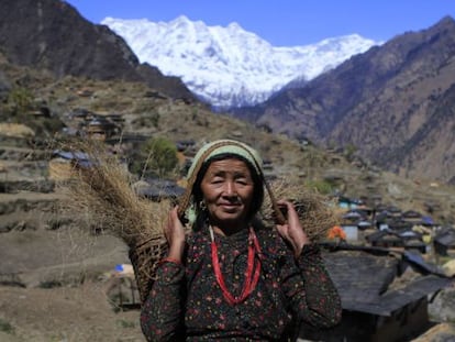 Os aldeões do Nepal carregam mais de 30 quilos em suas ‘doka’ (cestos de vime) pelos estreitos do Himalaia.