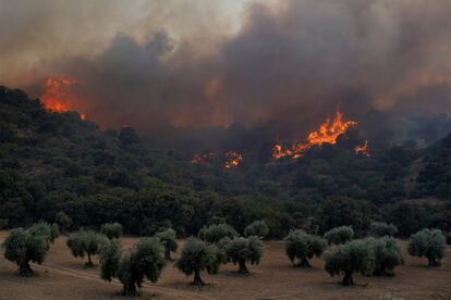 Otro incendio se inició, también en la tarde del viernes, cerca de Toledo capital, en el entorno de las urbanizaciones de Montesión y La Bastida, que ha quemado unas 1.600 hectáreas. En la imagen, el incendio declarado en el municipio de Almorox en Toledo, este sábado.