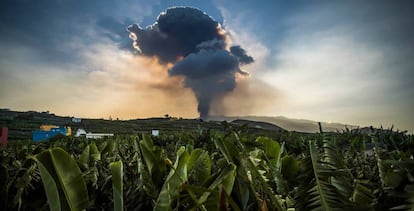 Nube del Volcán de Cumbre Vieja, en La Palma.