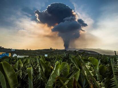 Nube del Volcán de Cumbre Vieja, en La Palma.