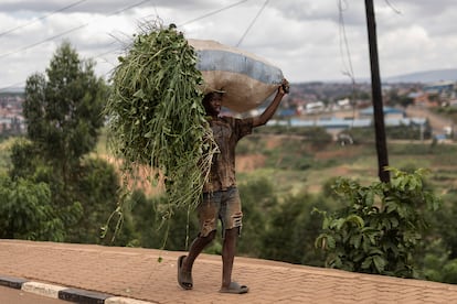Un joven carga con un saco en Kigali, el pasado mes de junio.