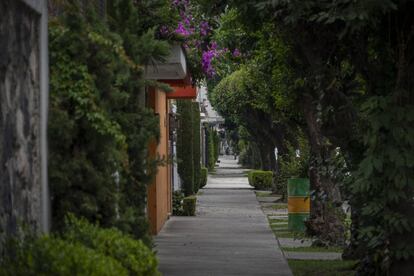 Una calle de la colonia Narvarte, prácticamente desierta.