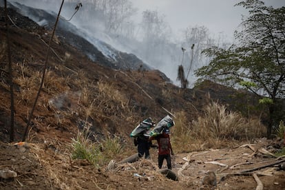 Recolectores de latas caminan en el vertedero de basura Cerro Patacón, afectado por un incendio, en Ciudad de Panamá, en marzo de 2024.