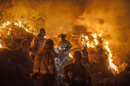 Brigadistas del Infoca durante la extinción del incendio de Bédar.