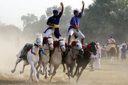Unos guerreros de la tribu de los 'Nihang' realizan una exhibición en Amritsar (India).