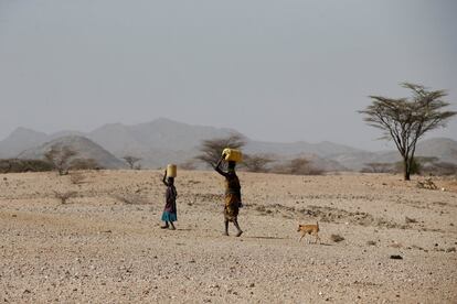 Dos niños transportan agua cerca de Lodwar. Turkana es también el segundo condado más grande por masa de tierra en Kenia. Se trata de un vasto territorio de matorral olvidado por los sucesivos Gobiernos con sede en la capital, Nairobi, pero ahora cuenta con la futura producción de petróleo para comenzar a progresar.