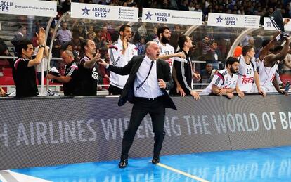 Pablo Laso frente al banquillo madridista en un partido ante el Efes Istanbul.