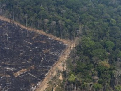 La deforestación, los incendios y el cambio climático acercan a la cuenca amazónica a una transformación irreversible