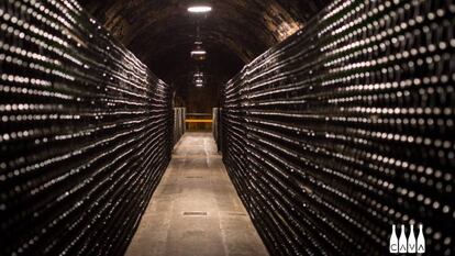 Sala de envejecimiento de cava.