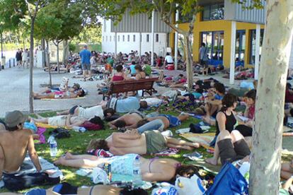 Decenas de <i>fibers</i> echan la siesta a la sombra de los árboles del polideportivo municipal de Benicàssim.