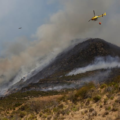 Efectivos trabajan en el incendio Fasgar, visto desde Tremor de Arriba, a 28 de agosto de 2025, en Tremor de Arriba, Igüeña, León, Castilla y León (España). El incendio del municipio de Fasgar, en León, continúa en el nivel 2 de peligrosidad tras 20 días ardiendo. El fuego concentra la mayor parte de medios de extinción de toda la comunidad, en concreto una veintena, y es el que más preocupa, junto al de Colinas del Campo.
28 AGOSTO 2025;INCENDIOS;LEON;VERANO;FUEGO
Fernando Otero / Europa Press
28/08/2025