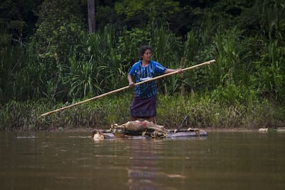 El Amazonas peruano da lo necesario para la subsistencia de las comunidades indígenas que habitan junto a él. Cada pescador se coloca en una zona estratégica para que el barbastro que vierten haga la pesca más efectiva. Las mujeres tienen un papel importante en el proceso; son ellas quienes hacen todo el trabajo. Navegando con las barcas que ellos mismos se han construido, se pueden ver otros animales, como las rayas. "Un picotazo de estas mató a uno de la comunidad", cuenta Guadalupe. Sin una posta (ambulatorio) cercana y sin un servicio mínimo de urgencias, estas tribus están abandonadas a su suerte en un mundo lleno de peligros. Los picotazos de víbora son otra de las amenazas a las que se tienen que enfrentar a diario; cada familia relata alguna experiencia cuyo final hubiera sido muy distinto de haber contado con un servicio médico a su alcance.