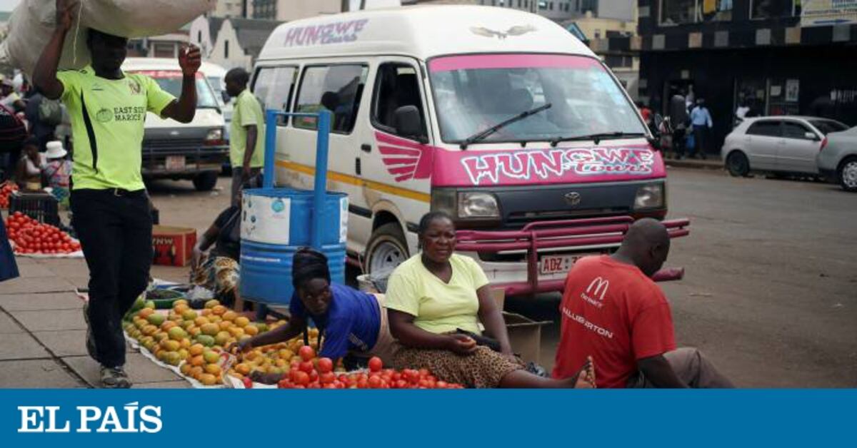 La justicia legaliza el golpe de Estado en Zimbabue | Internacional ...