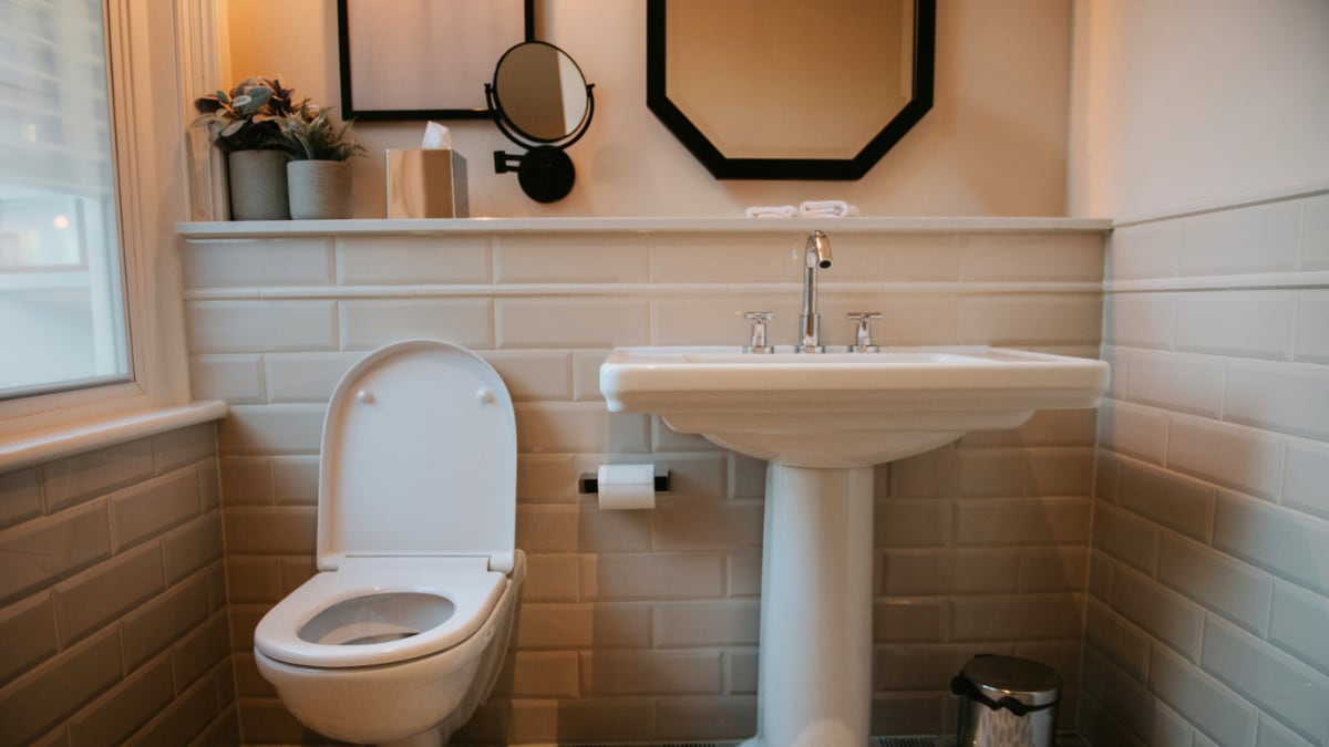 Los pececillos de plata aparecen en los meses cálidos. GETTY IMAGES.