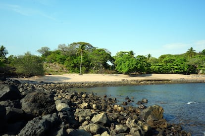 View of the land acquired by Bukele from a spot located across from the beach in El Flor.