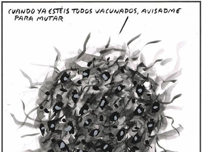 El Roto