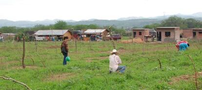 Los desplazados construyen sus nuevas casas en Concordia, Sinaloa.