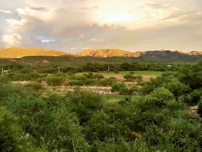 La vegetación que rodea al pueblo de Bacadéhuachi, en el Estado de Sonora (México).