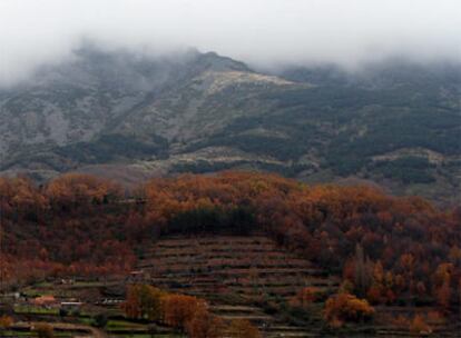 Vistas serranas desde la iglesia de Santa María, en Hervás