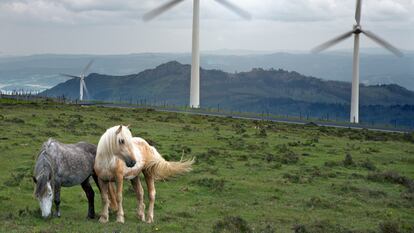 Parque eólico de la serra da Capelada, junto a la vixía de Herbeira, A coruña.