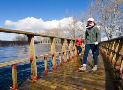 Una pasarela en Las Tablas de Daimiel (Ciudad Real). La confluencia de dos ríos con distinta salinidad, Guadiana y Cigüela, favorece una gran riqueza ecológica.