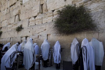 Judíos ultra ortodoxos cubiertos con el manto de la oración ante El Muro de las Lamentaciones de Jerusalén.
