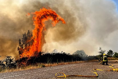 LA GRAN BATALLA DEL HOMBRE CON EL FUEGO
El sistema europeo de información de incendios forestales sitúa a España como el país donde más superficie ha ardido en el continente, con cerca de 300.000 hectáreas abrasadas el pasado verano. La imagen muestra a efectivos de bomberos trabajando
contra el fuego en la N-120 cerca de A Cañiza (Pontevedra).