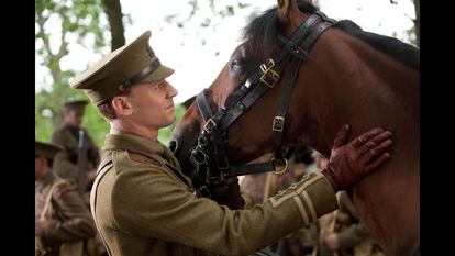 War Horse