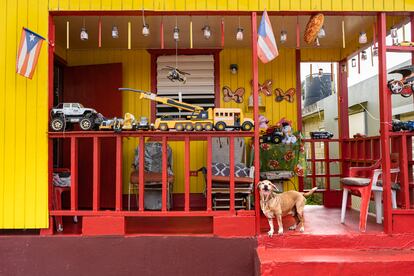 Un perro en el balcón de una casita de madera amarilla y roja. La casa está decorada con varios juguetes de transporte y banderas de Puerto Rico. 
'Casitas' es un proyecto fotográfico a largo plazo de Annie Y. Saldaña que documenta a los puertorriqueños que viven en casas de madera en las zonas montañosas de la isla.