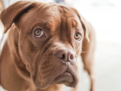 No, avui no és el dia més trist de l’any