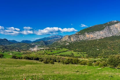 El parque natural de los Alcornocales, abundante en lluvias y recorrido por una notable red de ríos y arroyos, se extiende a lo largo de más de 170.000 hectáreas, a caballo entre las provincias andaluzas de Cádiz y Málaga, como la masa forestal de alcornoques —mezclada con acebuches, quejigos, robles melojos— más extensa de la Península Ibérica. Baja desde la sierra hasta el joven <a href="https://elviajero.elpais.com/elviajero/2015/06/23/actualidad/1435056753_788377.html" target="_blank">parque natural del Estrecho</a>, en una riquísima y diversa secuencia de relieves y paisajes. Rododendros, helechos y laureles en las zonas de umbría; en la parte sur, los llamados canutos: valles excavados por los cauces fluviales en los que crecen bosques de galería (vinculados a la ribera de un río) con especies vegetales del período terciario. En la imagen, el pueblo blanco de Ubrique (Cádiz), en la entrada del parque natural Los Alcornocales y el parque natural de Grazalema. <br></br> Más información: <a href="http://www.juntadeandalucia.es/medioambiente/servtc5/ventana/mostrarFicha.do;jsessionid=1FF616E122EE768A491CFF845DC72B88?idEspacio=7410" target="_blank">juntadeandalucia.es</a>