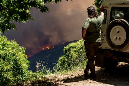 Un vecino observa el incendio forestal de Pujerra (Málaga), este jueves.