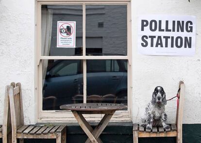 Tilly, un cocker spaniel inglés, espera a su dueño en el exterior de un centro electoral en Londres.