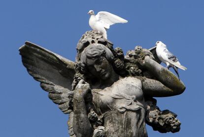 Palomas sobre una estatua del Parque de María Luisa de Sevilla.