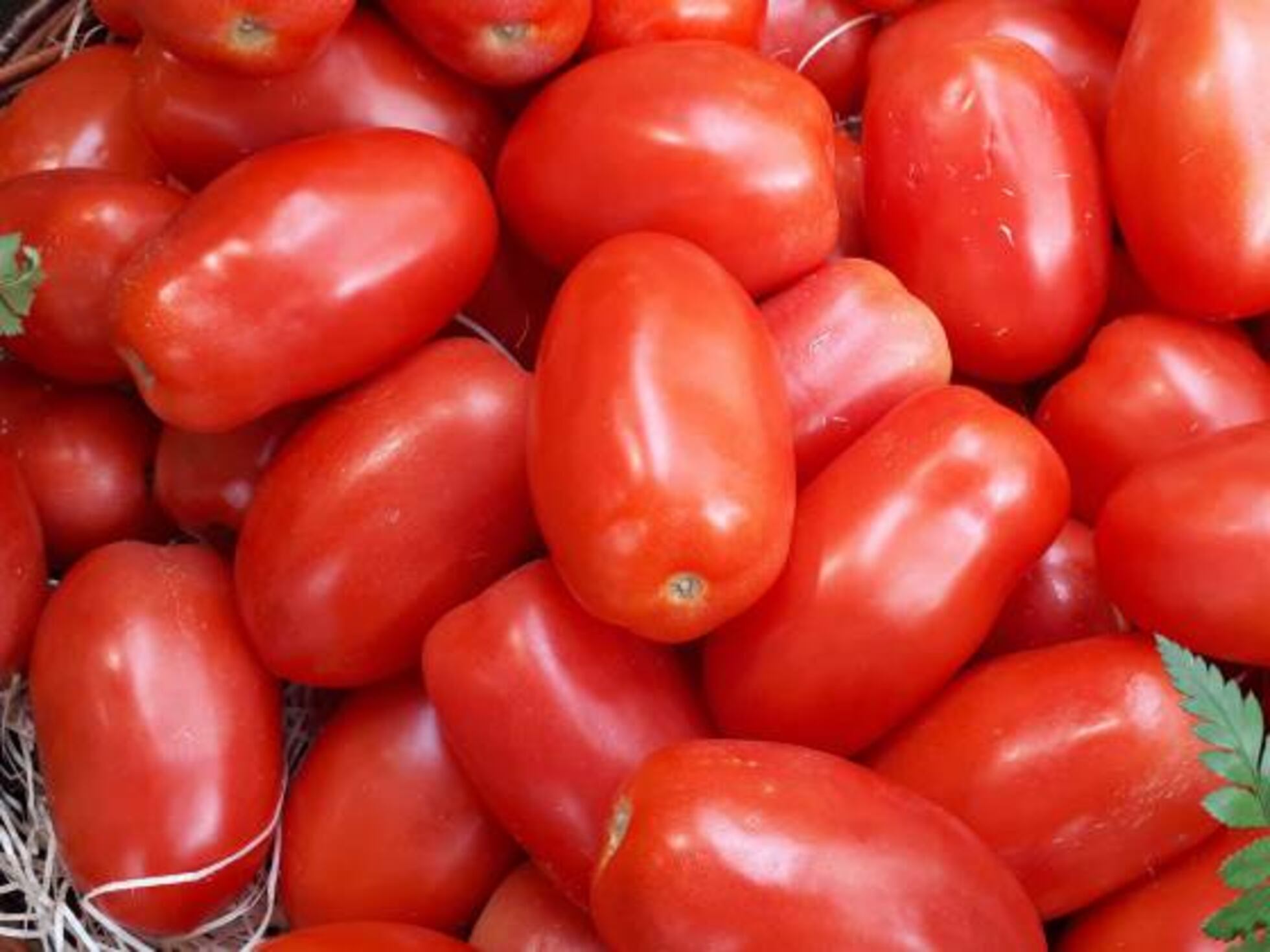 Trece trucos para mejorar tu gazpacho | El Comidista | Gastronomía | EL PAÍS