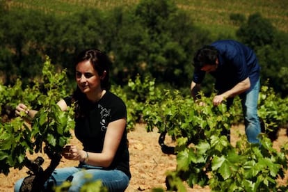 Mar Peique en el viñedo de la bodega familiar