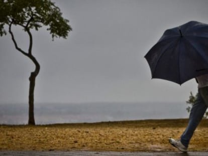 La alerta se ha activado por viento, lluvia y tormenta.