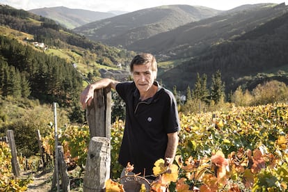 El viticultor Domingo Guerrero, en una de sus vi?as en Cangas del Narcea.