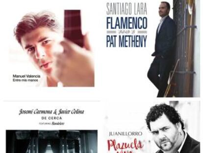 Flamenco: Año de tránsitos