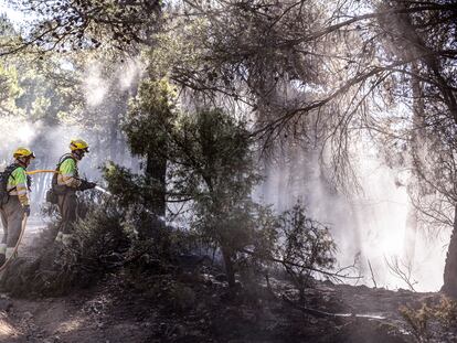 Bomberos de las brigadas de forestales refrescan una de las zonas calcinadas en el término municipal de Montán (Castellón).