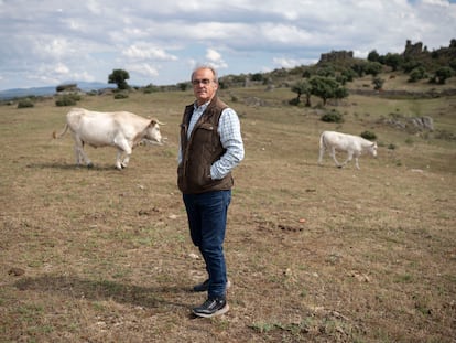 Manuel Gómez García, ganadero vacuno extensivo de Alaraz, Salamanca.