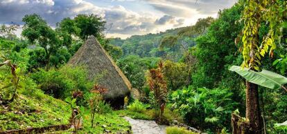 Luna Lodge, en la península Osa de Costa Rica.