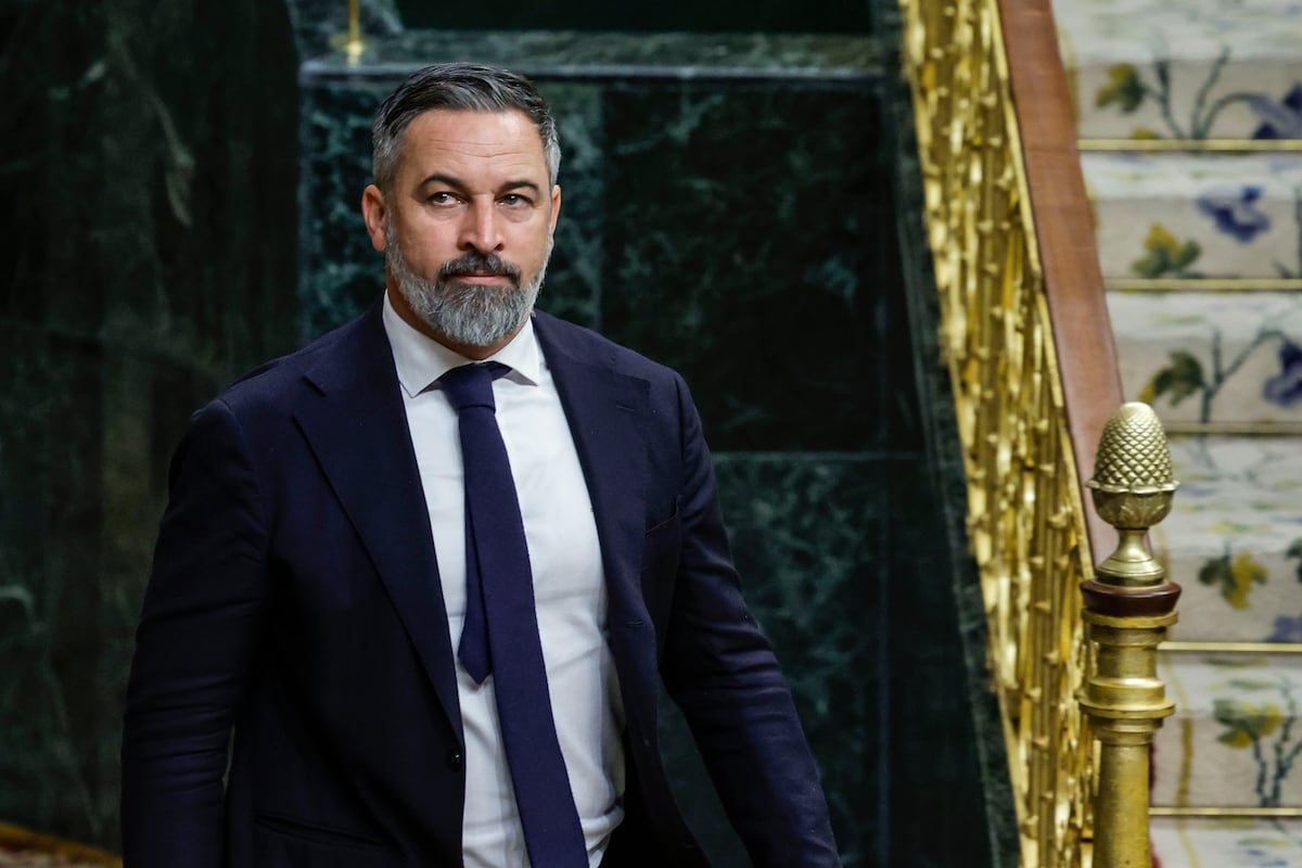 Abascal acusa a Feijóo de entregar a Sánchez “un chivo expiatorio” con la  dimisión de Mazón | España | EL PAÍS