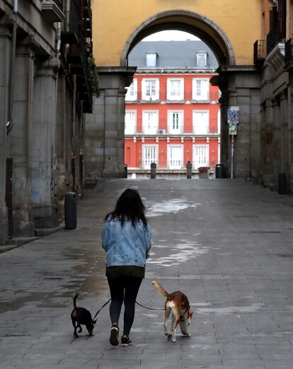 Una mujer pasea a sus perros por la Plaza Mayor de Madrid.