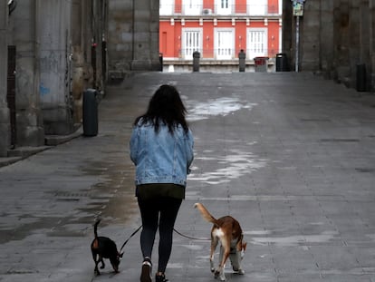 Una mujer pasea a sus perros por la Plaza Mayor de Madrid.