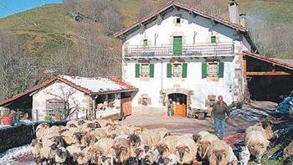 Joxepi Miura y su marido Fermín (en la foto con las ovejas del caserío) regentan el alojamiento rural Casa Urruska, en pleno valle del Baztán (Navarra).